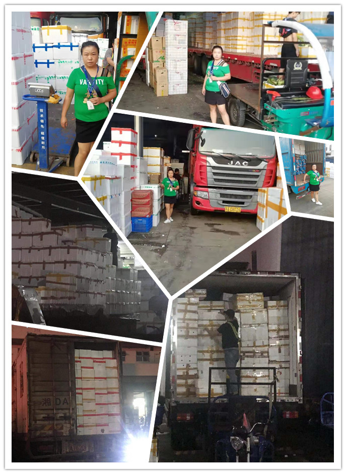 ��ҳ- �ڲ���������Ϊ��,רҵ����!