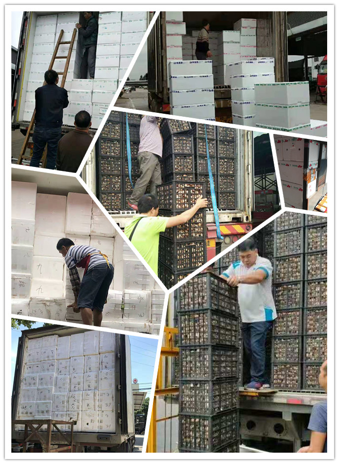 ��ҳ- �ڲ���������Ϊ��,רҵ����!