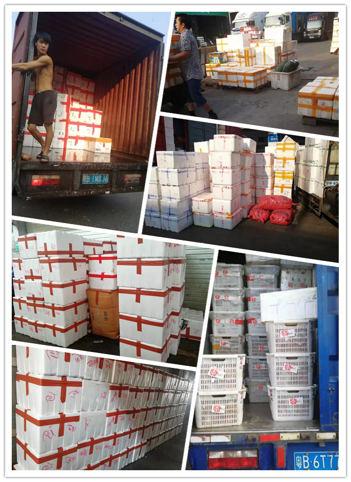 ��ҳ- �ڲ���������Ϊ��,רҵ����!