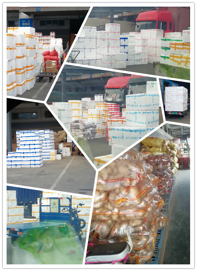 ��ҳ- �ڲ���������Ϊ��,רҵ����!