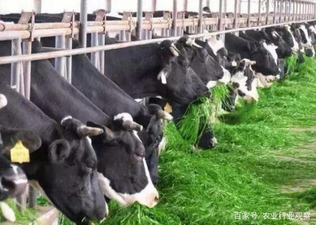 ��ҳ- �ڲ���������Ϊ��,רҵ����!