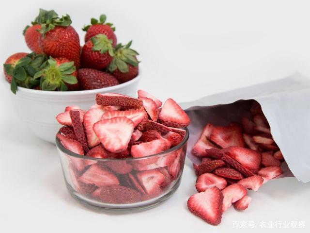 ��ҳ- �ڲ���������Ϊ��,רҵ����!