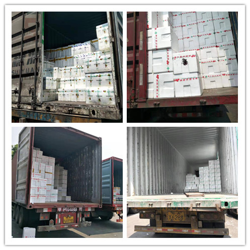 ��ҳ- �ڲ���������Ϊ��,רҵ����!