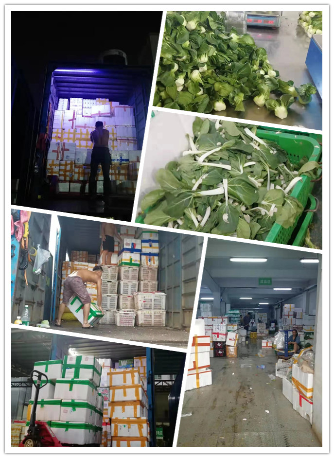 ��ҳ- �ڲ���������Ϊ��,רҵ����!