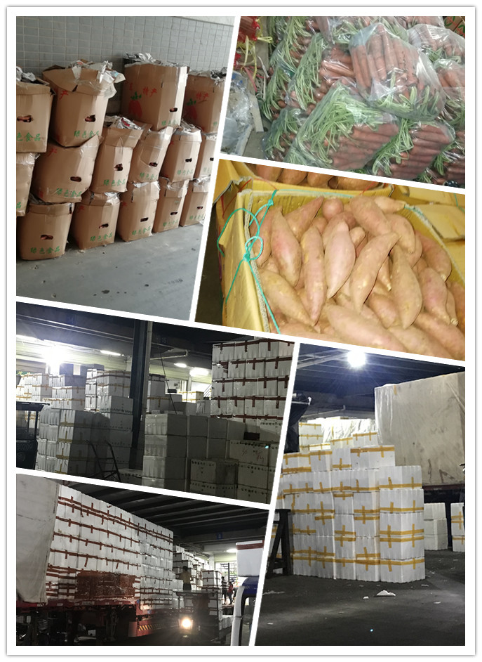 ��ҳ- �ڲ���������Ϊ��,רҵ����!