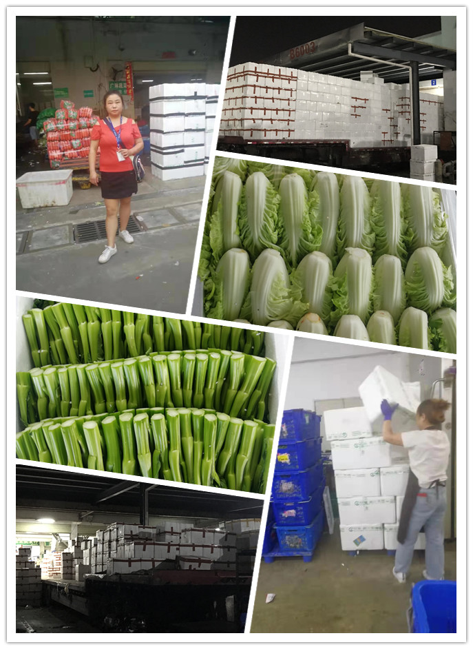 ��ҳ- �ڲ���������Ϊ��,רҵ����!