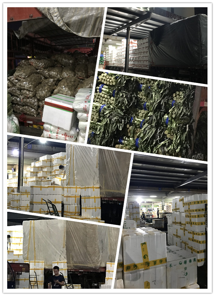 ��ҳ- �ڲ���������Ϊ��,רҵ����!