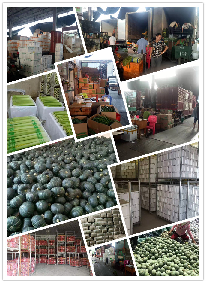 ��ҳ- �ڲ���������Ϊ��,רҵ����!