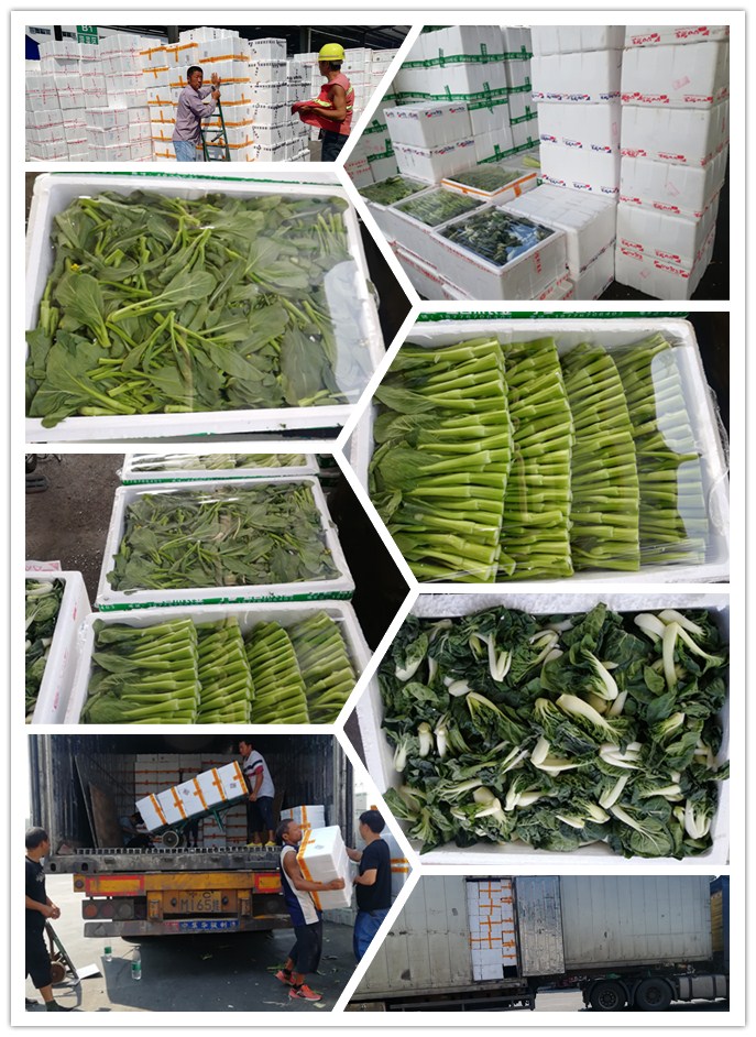 ��ҳ- �ڲ���������Ϊ��,רҵ����!