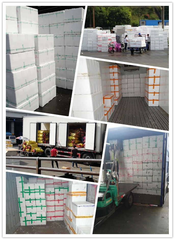 ��ҳ- �ڲ���������Ϊ��,רҵ����!