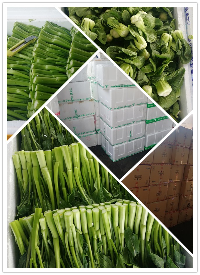 ��ҳ- �ڲ���������Ϊ��,רҵ����!