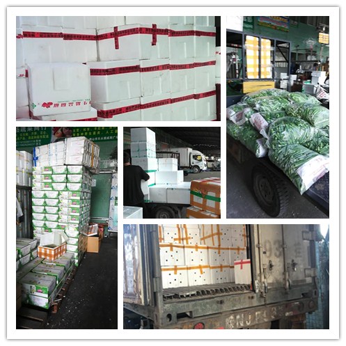 ��ҳ- �ڲ���������Ϊ��,רҵ����!