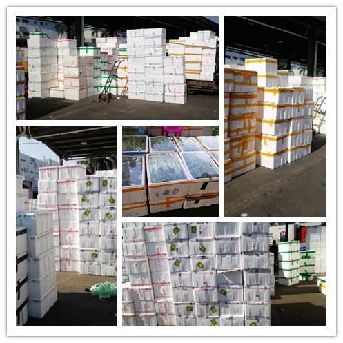 ��ҳ- �ڲ���������Ϊ��,רҵ����!