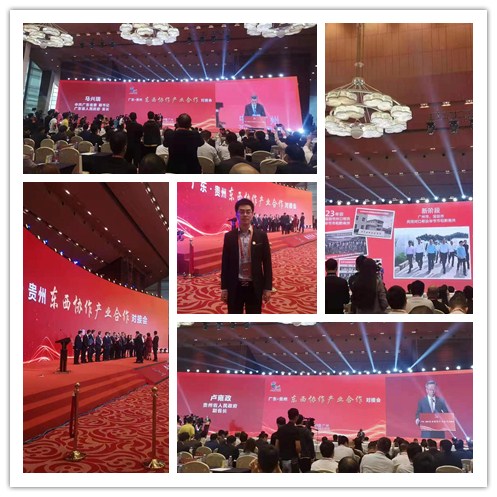 ��ҳ- �ڲ���������Ϊ��,רҵ����!