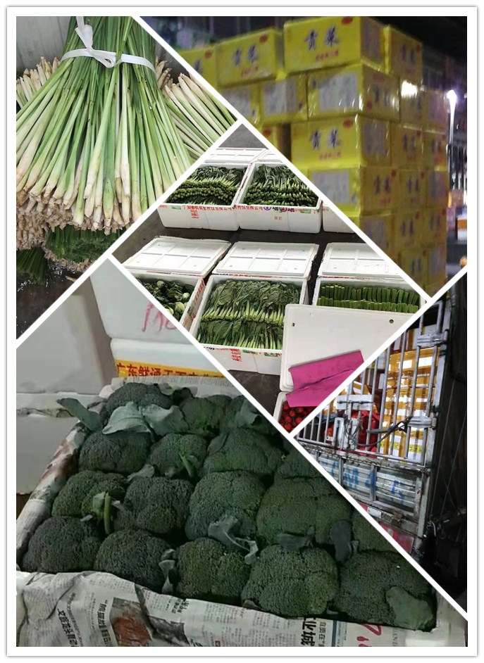 ��ҳ- �ڲ���������Ϊ��,רҵ����!