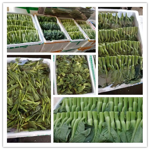 ��ҳ- �ڲ���������Ϊ��,רҵ����!