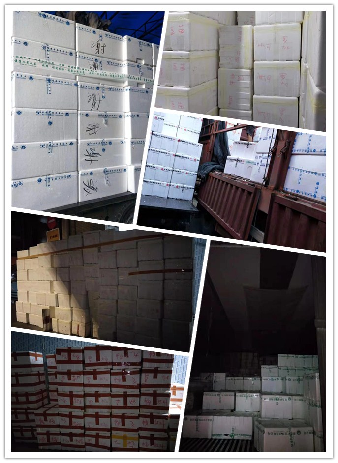 ��ҳ- �ڲ���������Ϊ��,רҵ����!