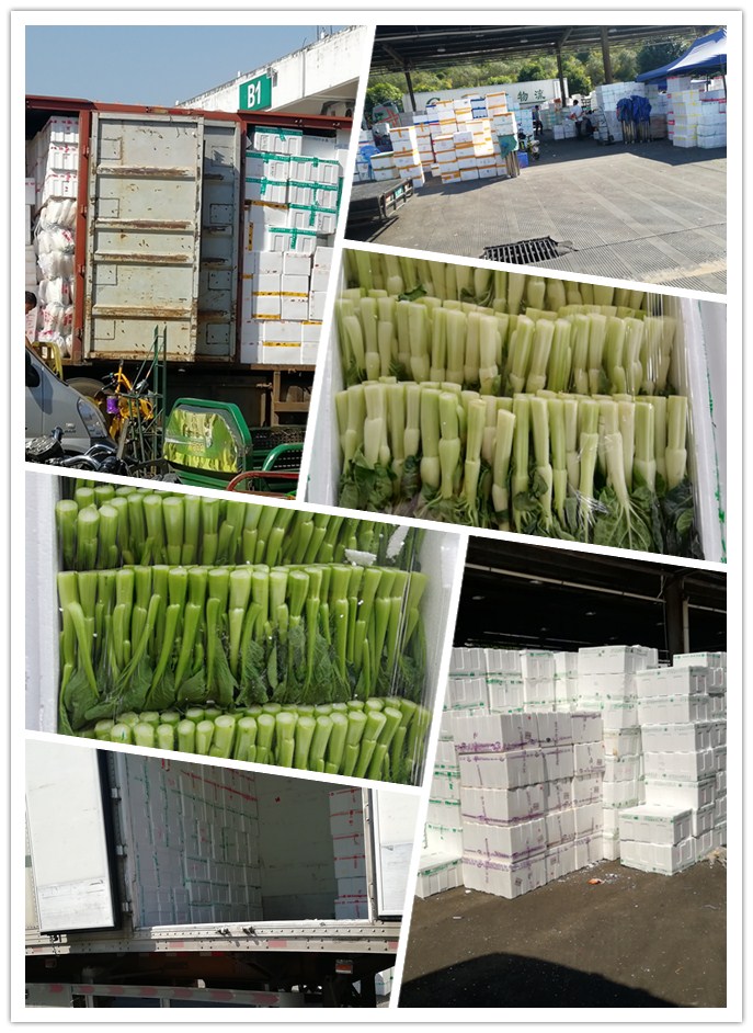 ��ҳ- �ڲ���������Ϊ��,רҵ����!