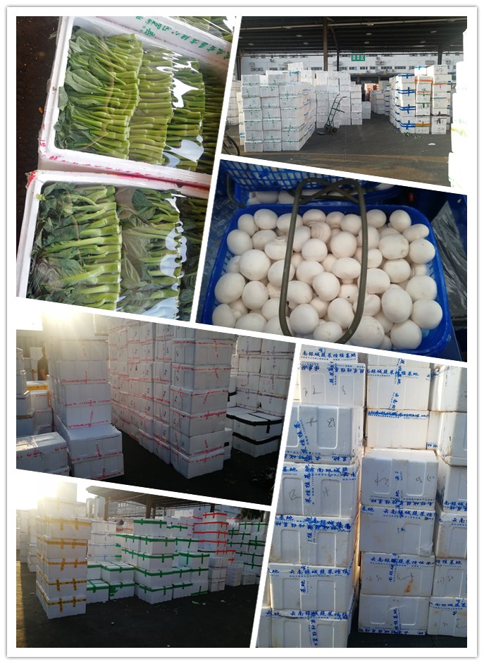 ��ҳ- �ڲ���������Ϊ��,רҵ����!