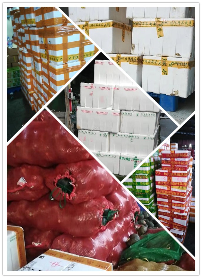 ��ҳ- �ڲ���������Ϊ��,רҵ����!