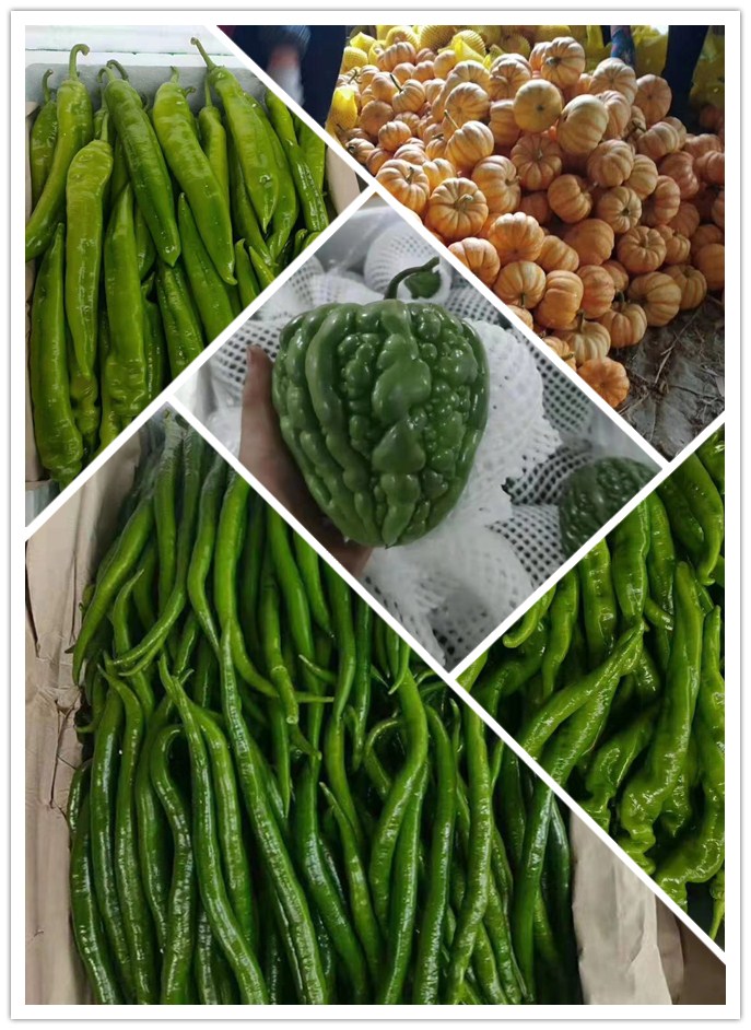 ��ҳ- �ڲ���������Ϊ��,רҵ����!