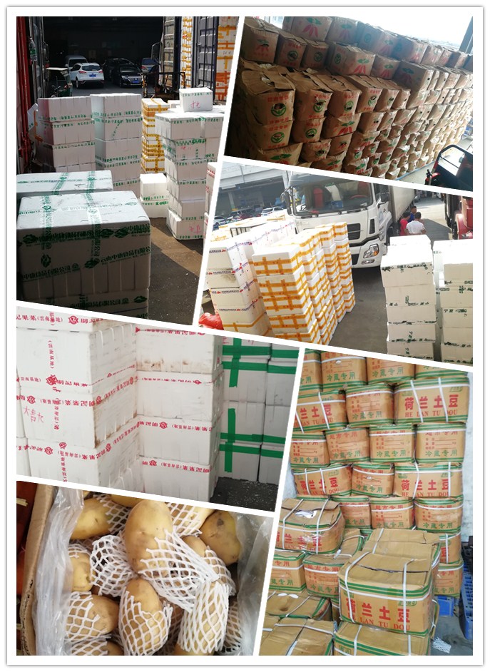 ��ҳ- �ڲ���������Ϊ��,רҵ����!