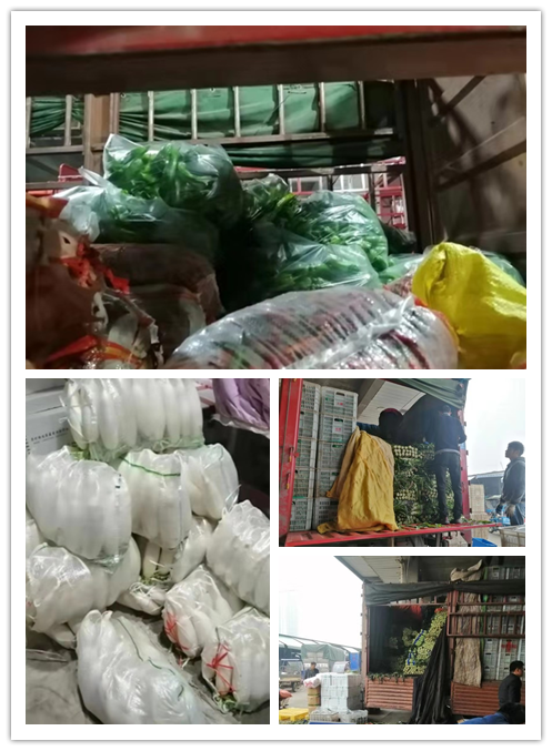 ��ҳ- �ڲ���������Ϊ��,רҵ����!