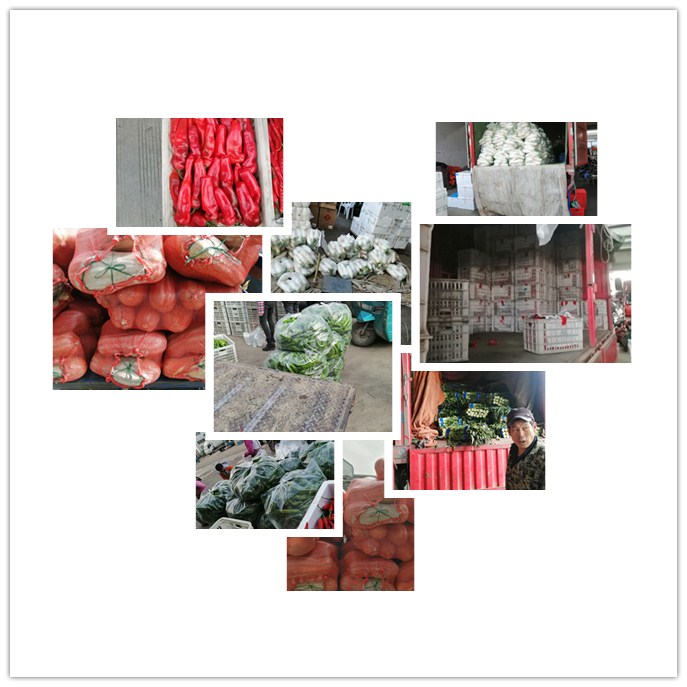 ��ҳ- �ڲ���������Ϊ��,רҵ����!