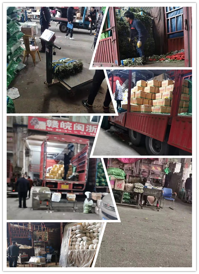 ��ҳ- �ڲ���������Ϊ��,רҵ����!