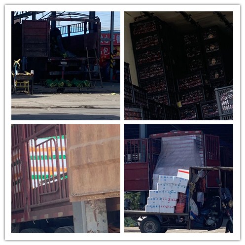 ��ҳ- �ڲ���������Ϊ��,רҵ����!