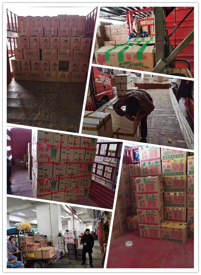 ��ҳ- �ڲ���������Ϊ��,רҵ����!