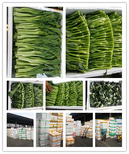 ��ҳ- �ڲ���������Ϊ��,רҵ����!