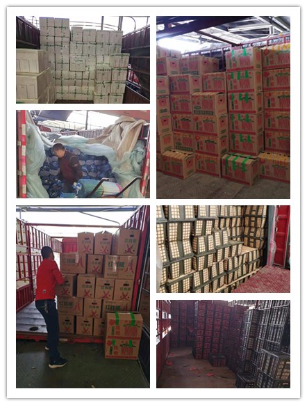 ��ҳ- �ڲ���������Ϊ��,רҵ����!