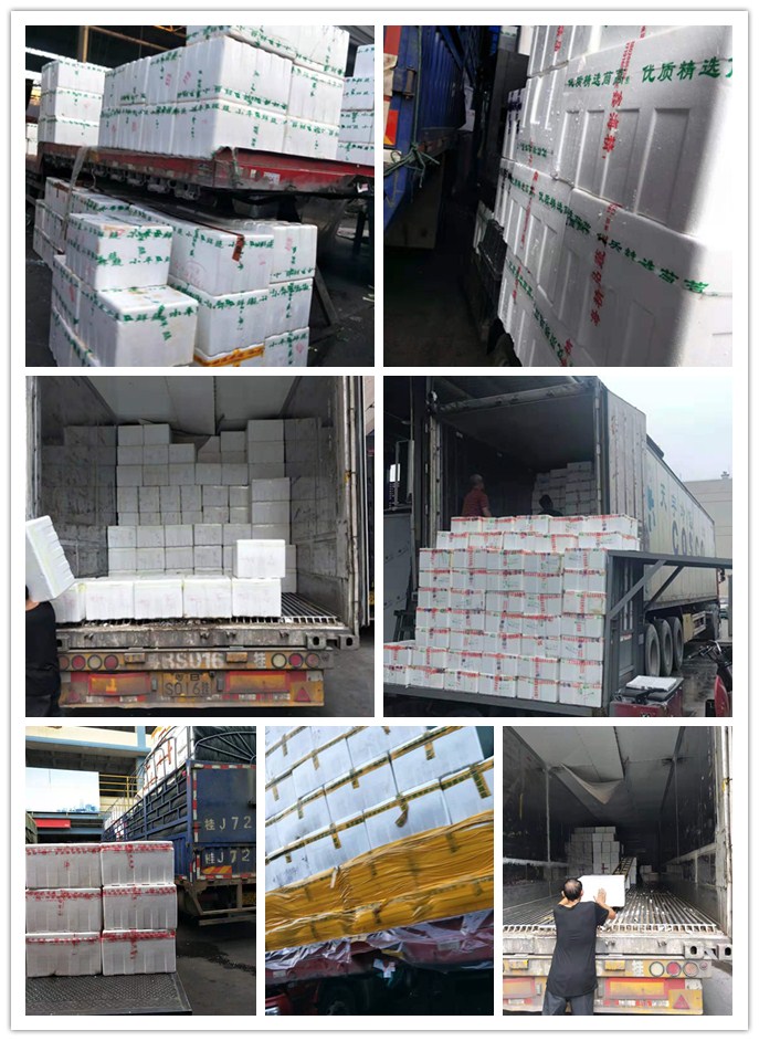 ��ҳ- �ڲ���������Ϊ��,רҵ����!