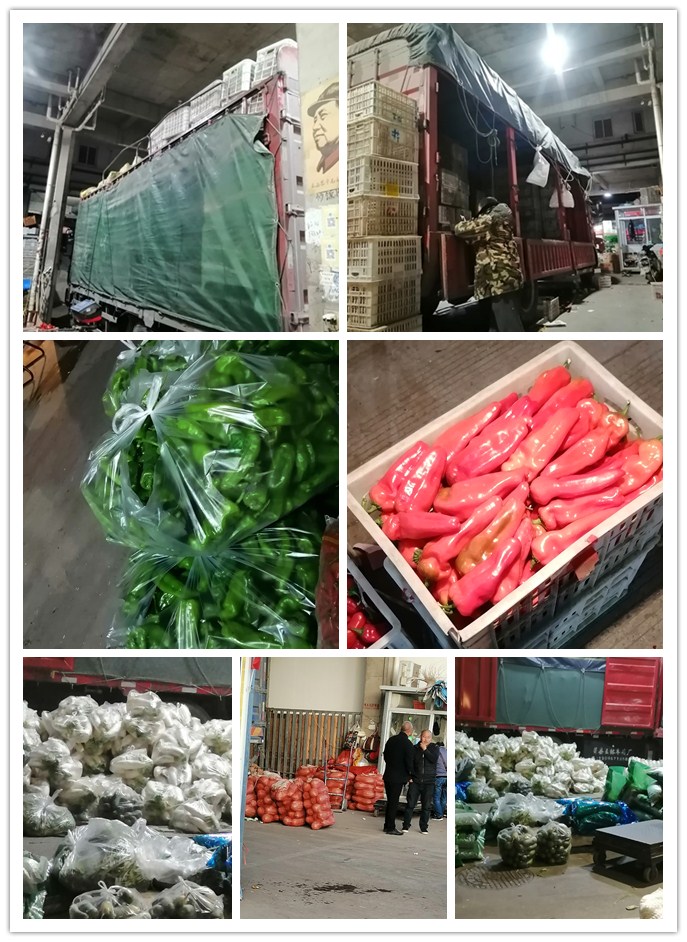 ��ҳ- �ڲ���������Ϊ��,רҵ����!