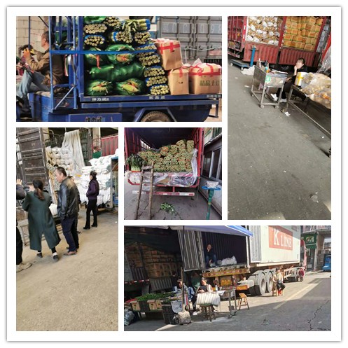 ��ҳ- �ڲ���������Ϊ��,רҵ����!