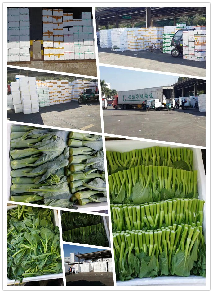 ��ҳ- �ڲ���������Ϊ��,רҵ����!