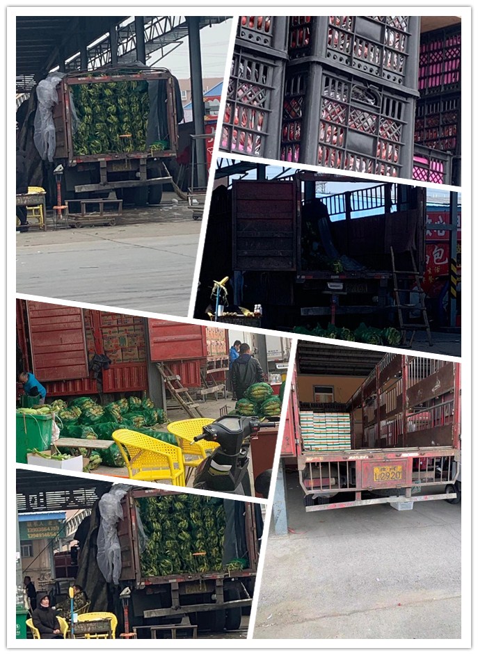 ��ҳ- �ڲ���������Ϊ��,רҵ����!