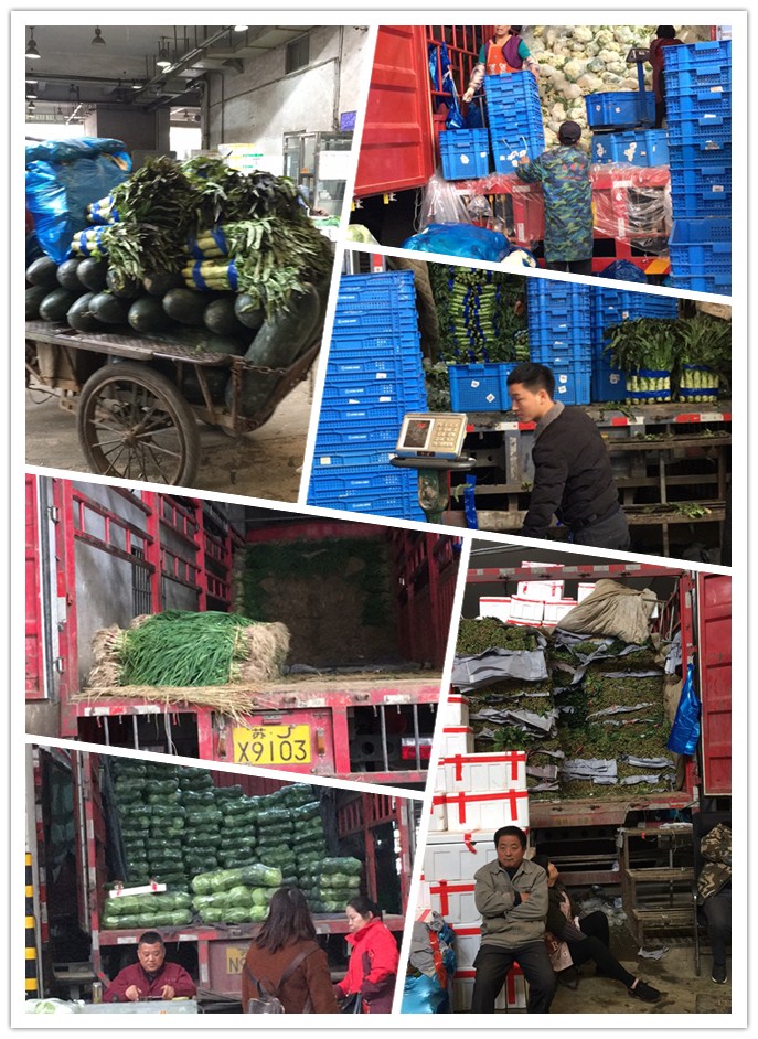 ��ҳ- �ڲ���������Ϊ��,רҵ����!