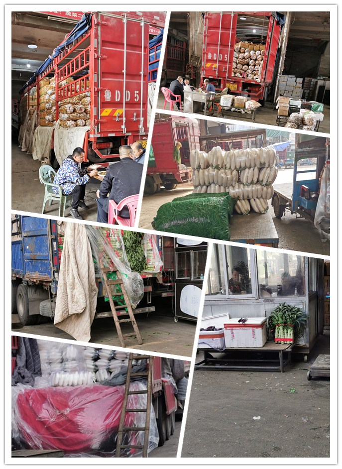 ��ҳ- �ڲ���������Ϊ��,רҵ����!