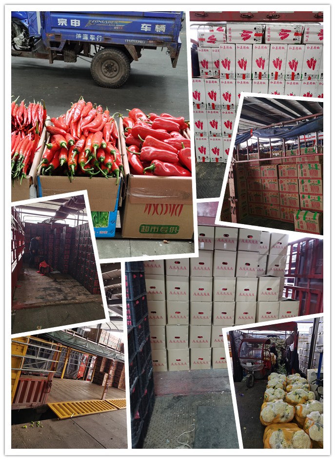 ��ҳ- �ڲ���������Ϊ��,רҵ����!