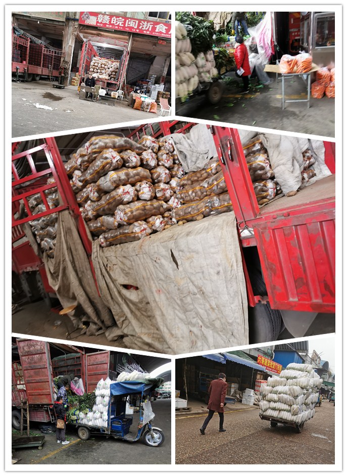 ��ҳ- �ڲ���������Ϊ��,רҵ����!