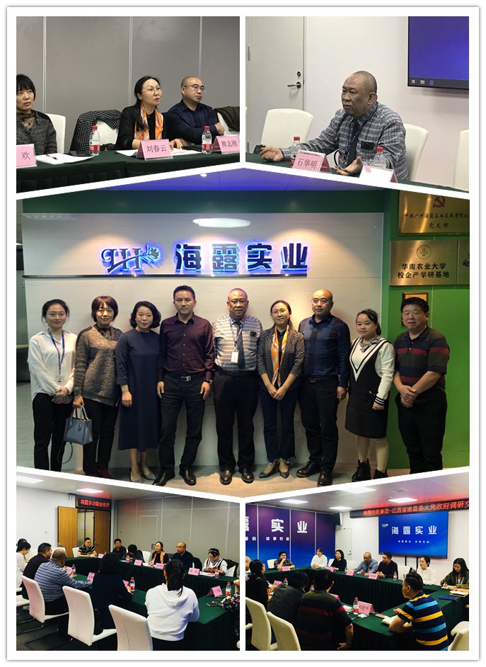 ��ҳ- �ڲ���������Ϊ��,רҵ����!