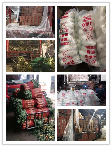 ��ҳ- �ڲ���������Ϊ��,רҵ����!