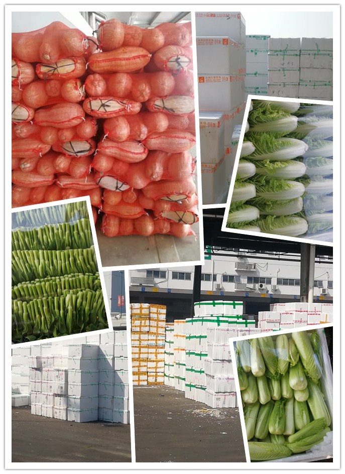 ��ҳ- �ڲ���������Ϊ��,רҵ����!