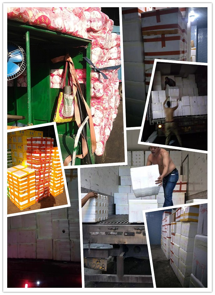 ��ҳ- �ڲ���������Ϊ��,רҵ����!