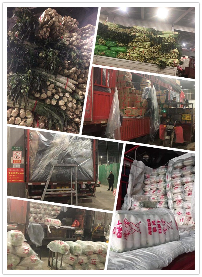 ��ҳ- �ڲ���������Ϊ��,רҵ����!