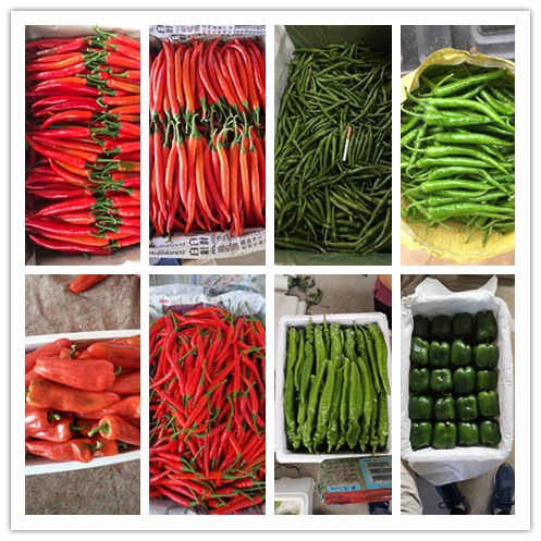 ��ҳ- �ڲ���������Ϊ��,רҵ����!