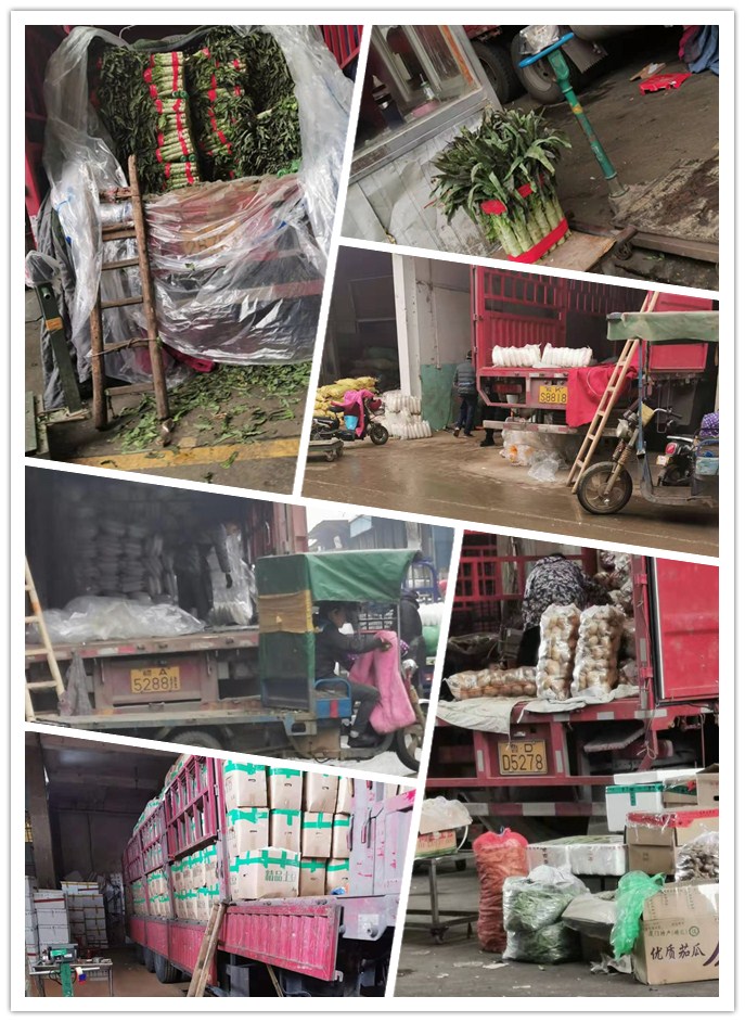 ��ҳ- �ڲ���������Ϊ��,רҵ����!