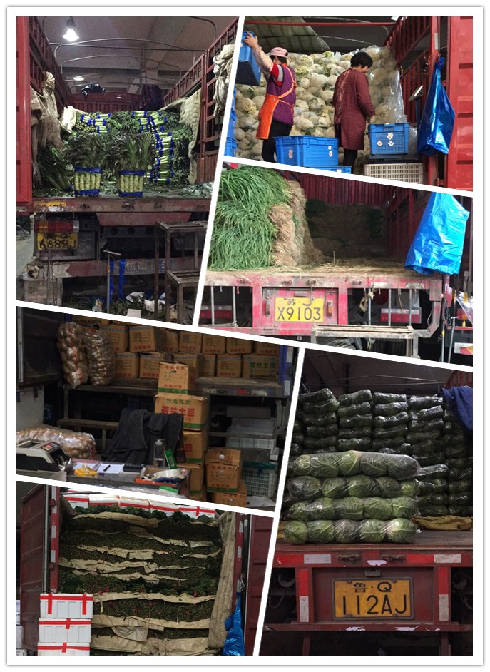 ��ҳ- �ڲ���������Ϊ��,רҵ����!